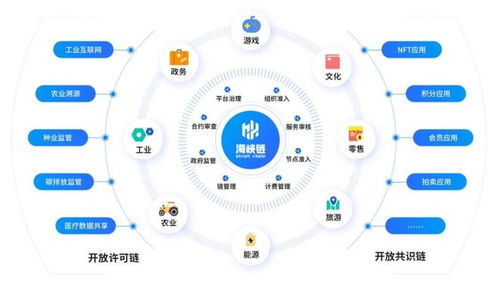 新一代區(qū)塊鏈底層技術(shù)服務(wù)平臺(tái) 海峽鏈 正式上線運(yùn)營(yíng)