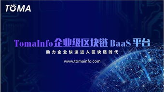 泡沫or新生 如何看待顛覆性的tomainfo項目