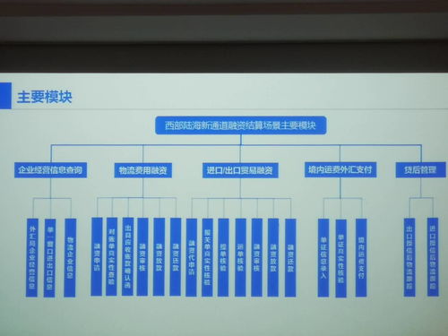 政銀企共建區塊鏈生態系統 陸海新通道金融服務平臺啟動