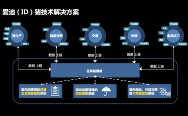 李玉福:區(qū)塊鏈在ID豬上的應(yīng)用