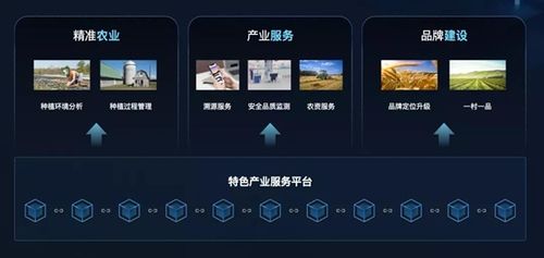 區(qū)塊鏈技術(shù)賦能鄉(xiāng)村振興 趣鏈科技推出數(shù)字鄉(xiāng)村區(qū)塊鏈基礎(chǔ)平臺(tái)