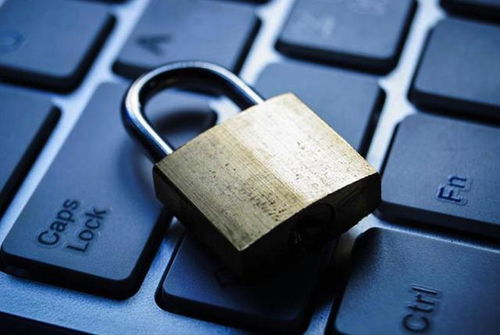 區(qū)塊鏈數(shù)字貨幣投資第一步 選擇與使用數(shù)字錢包的全面指南